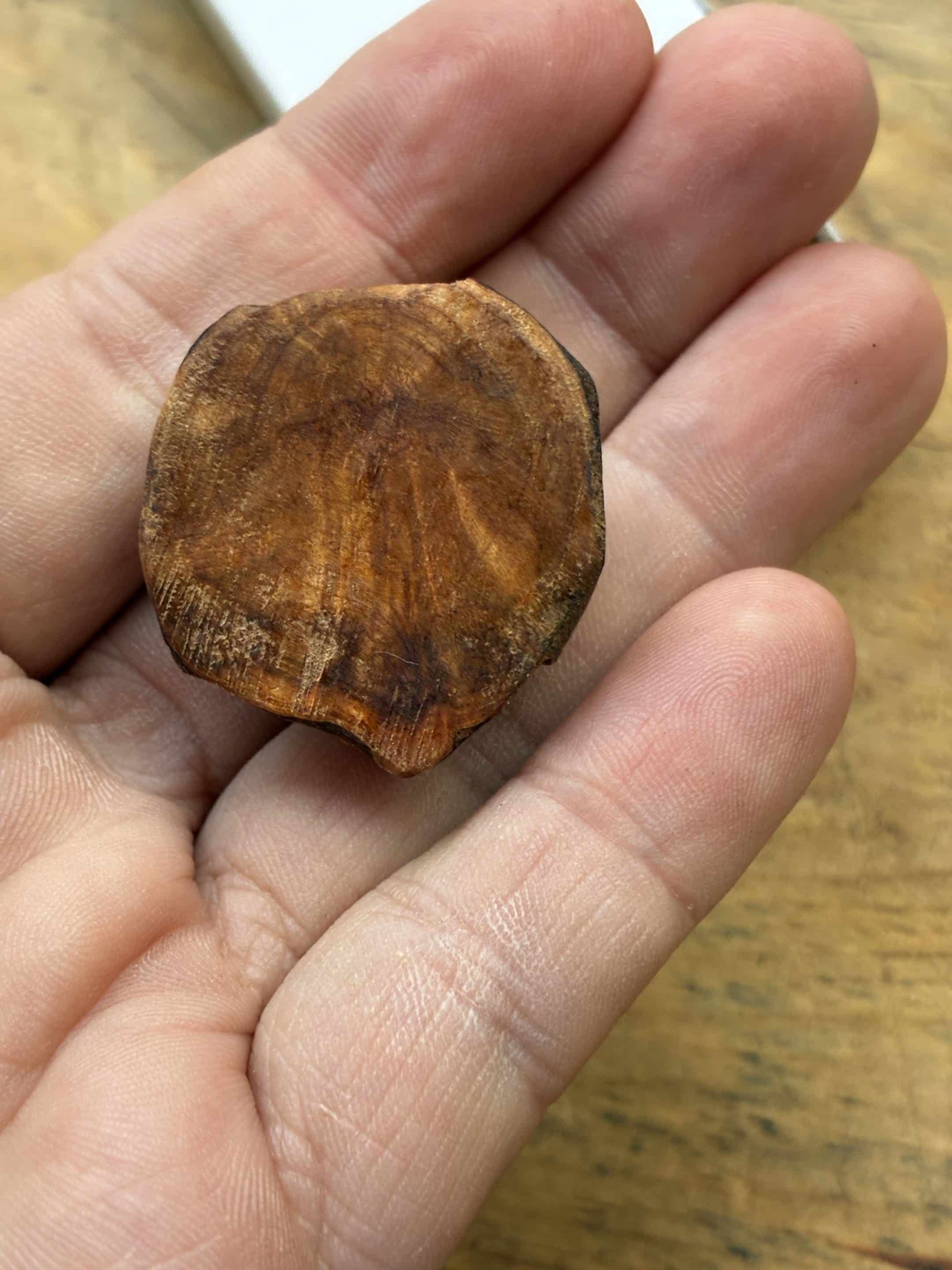 Käfer aus Baumperle geschnitzt. Handschmeichler Glückskäfer