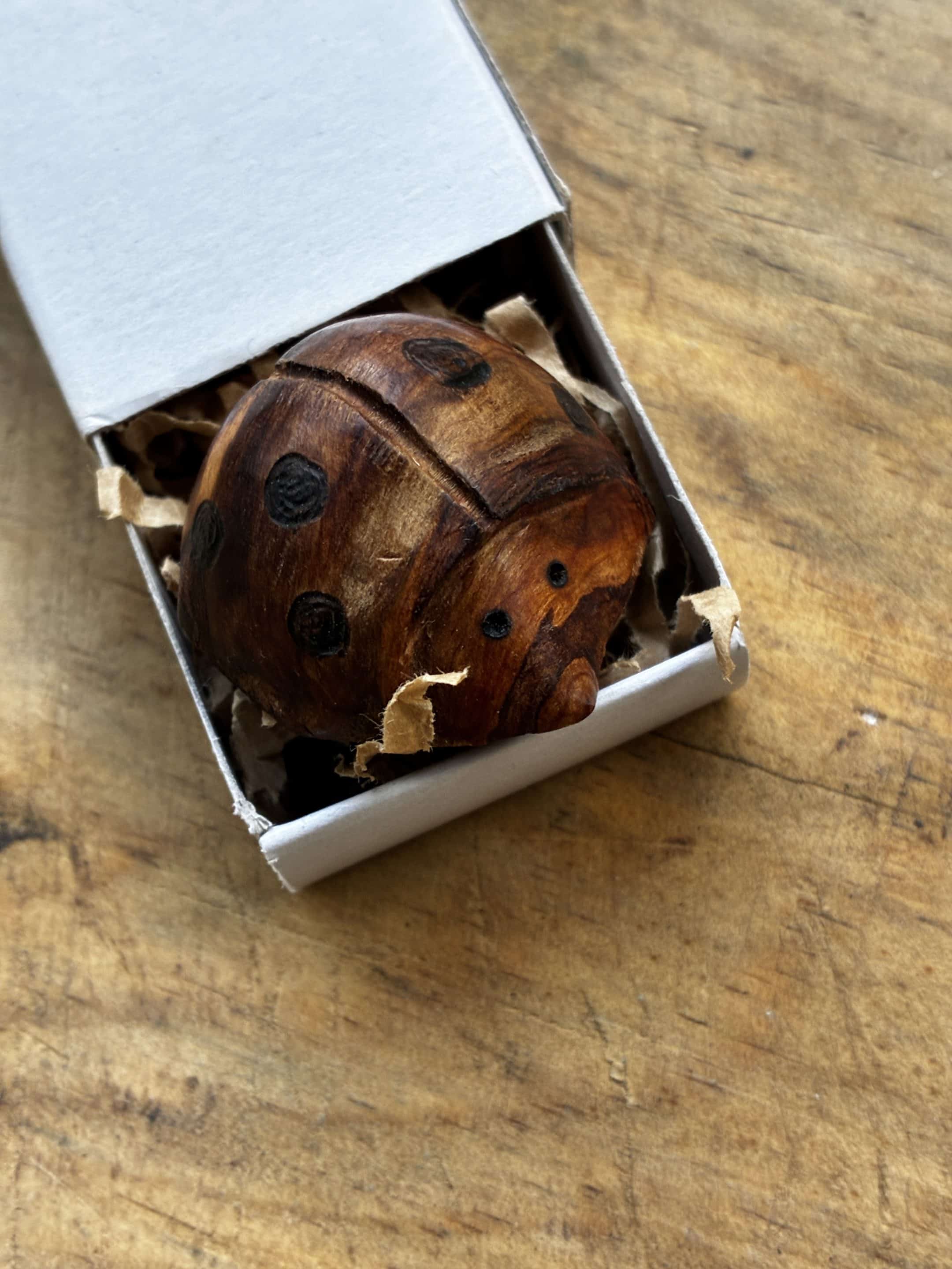 Käfer aus Baumperle geschnitzt. Handschmeichler Glückskäfer