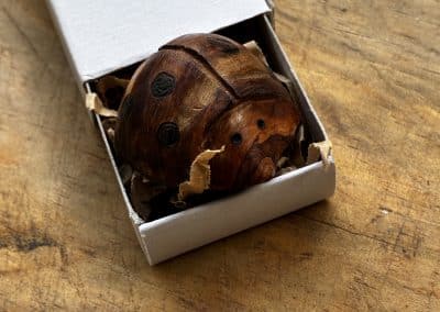 Käfer aus Baumperle geschnitzt. Handschmeichler Glückskäfer