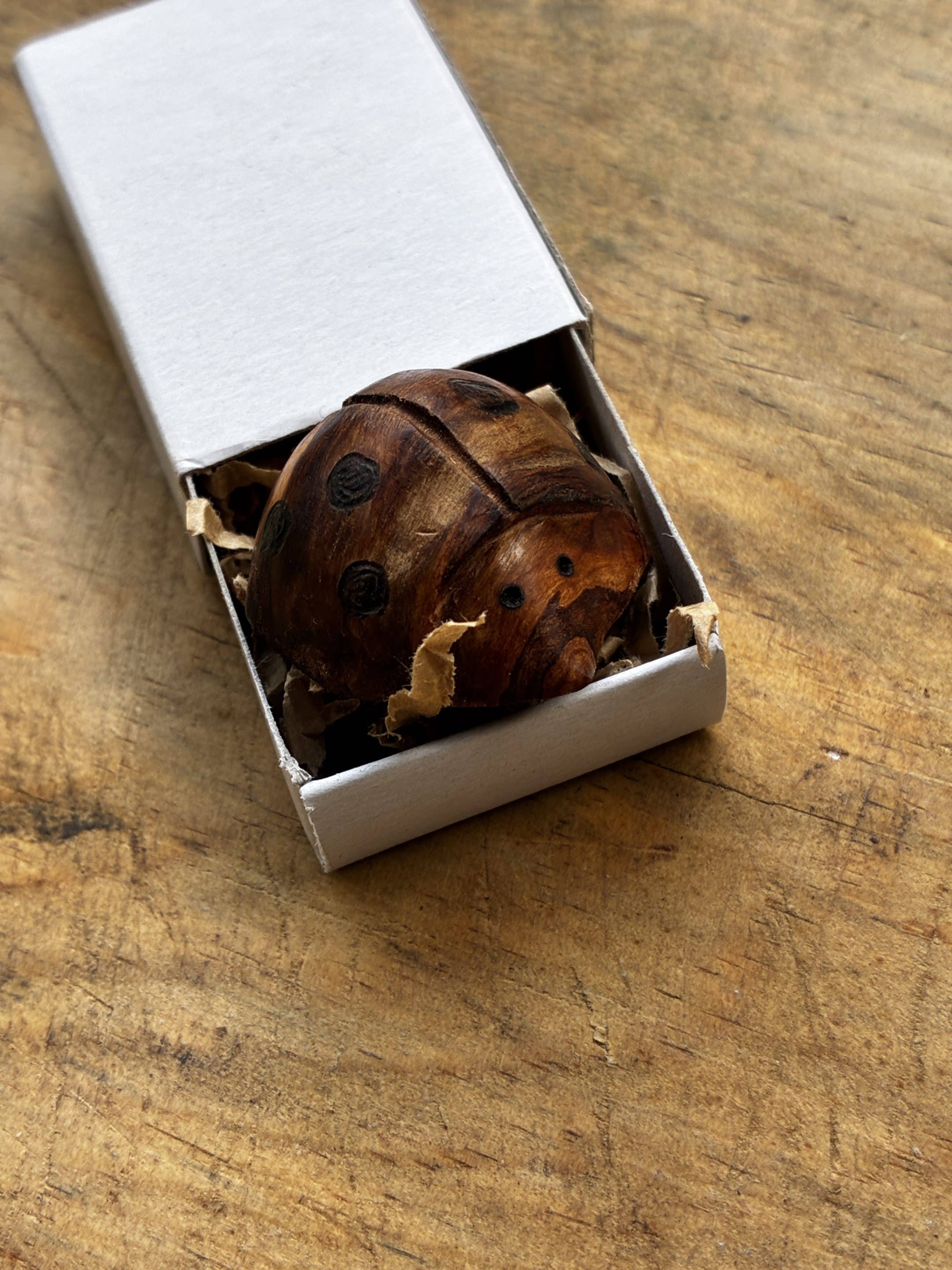 Käfer aus Baumperle geschnitzt. Handschmeichler Glückskäfer