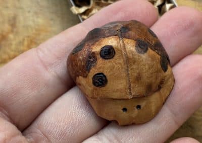 Käfer aus Baumperle geschnitzt. Handschmeichler Glückskäfer