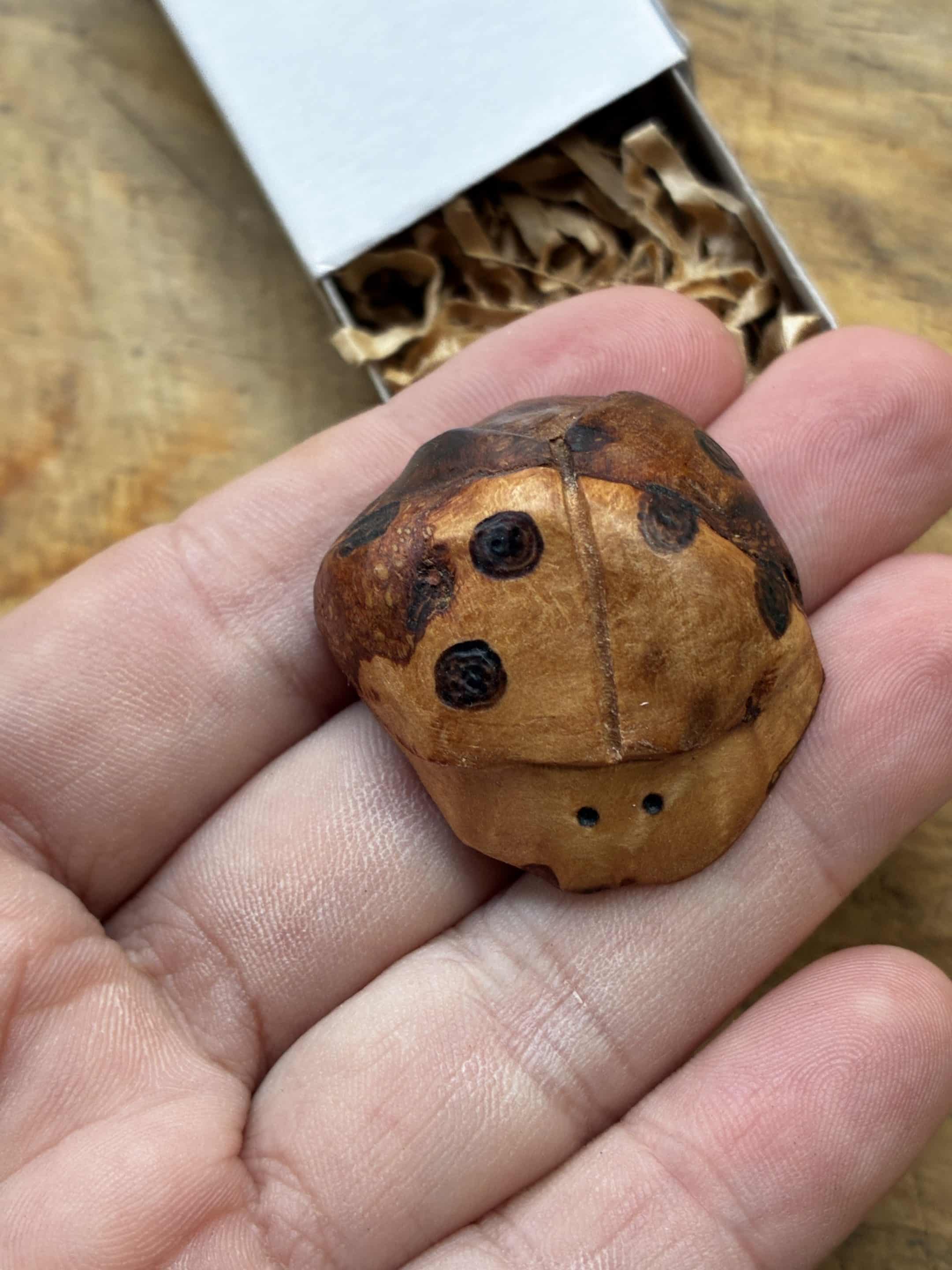 Käfer aus Baumperle geschnitzt. Handschmeichler Glückskäfer