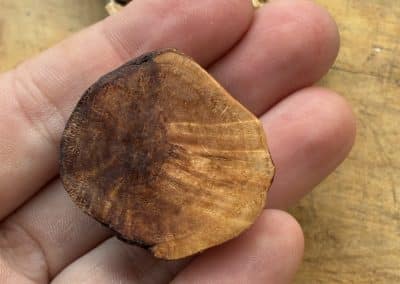 Käfer aus Baumperle geschnitzt. Handschmeichler Glückskäfer