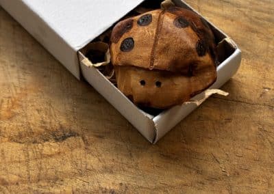 Käfer aus Baumperle geschnitzt. Handschmeichler Glückskäfer