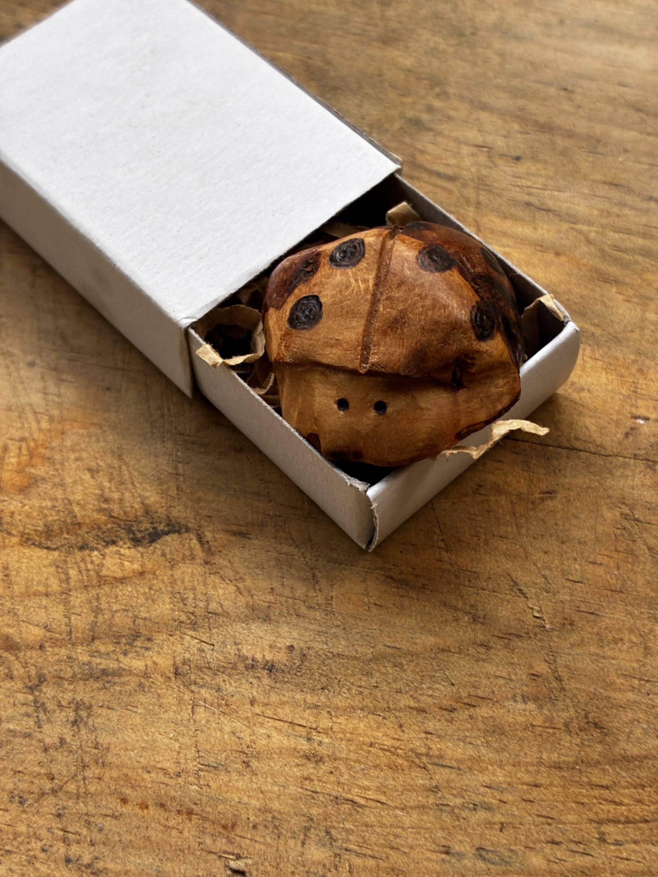 Käfer aus Baumperle geschnitzt. Handschmeichler Glückskäfer