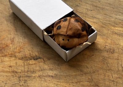 Käfer aus Baumperle geschnitzt. Handschmeichler Glückskäfer