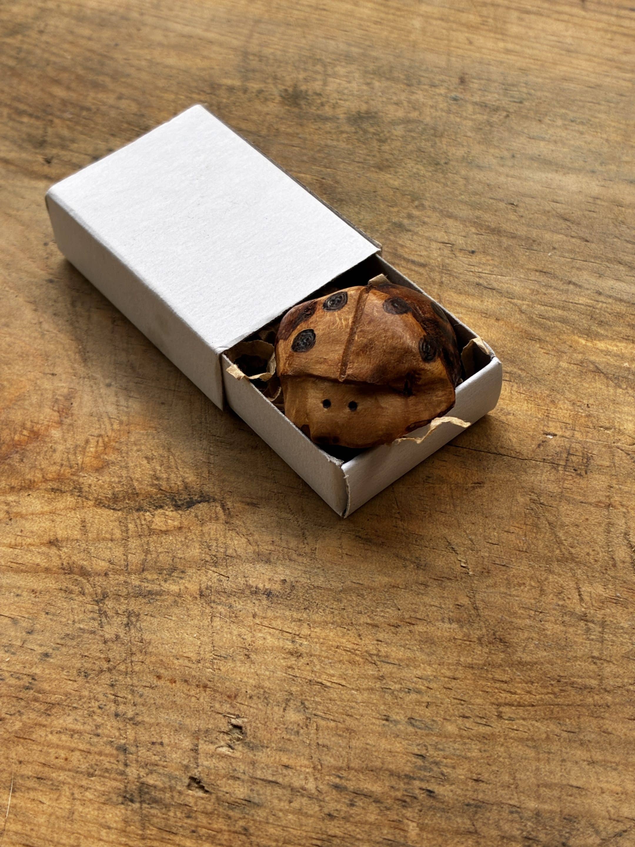 Käfer aus Baumperle geschnitzt. Handschmeichler Glückskäfer