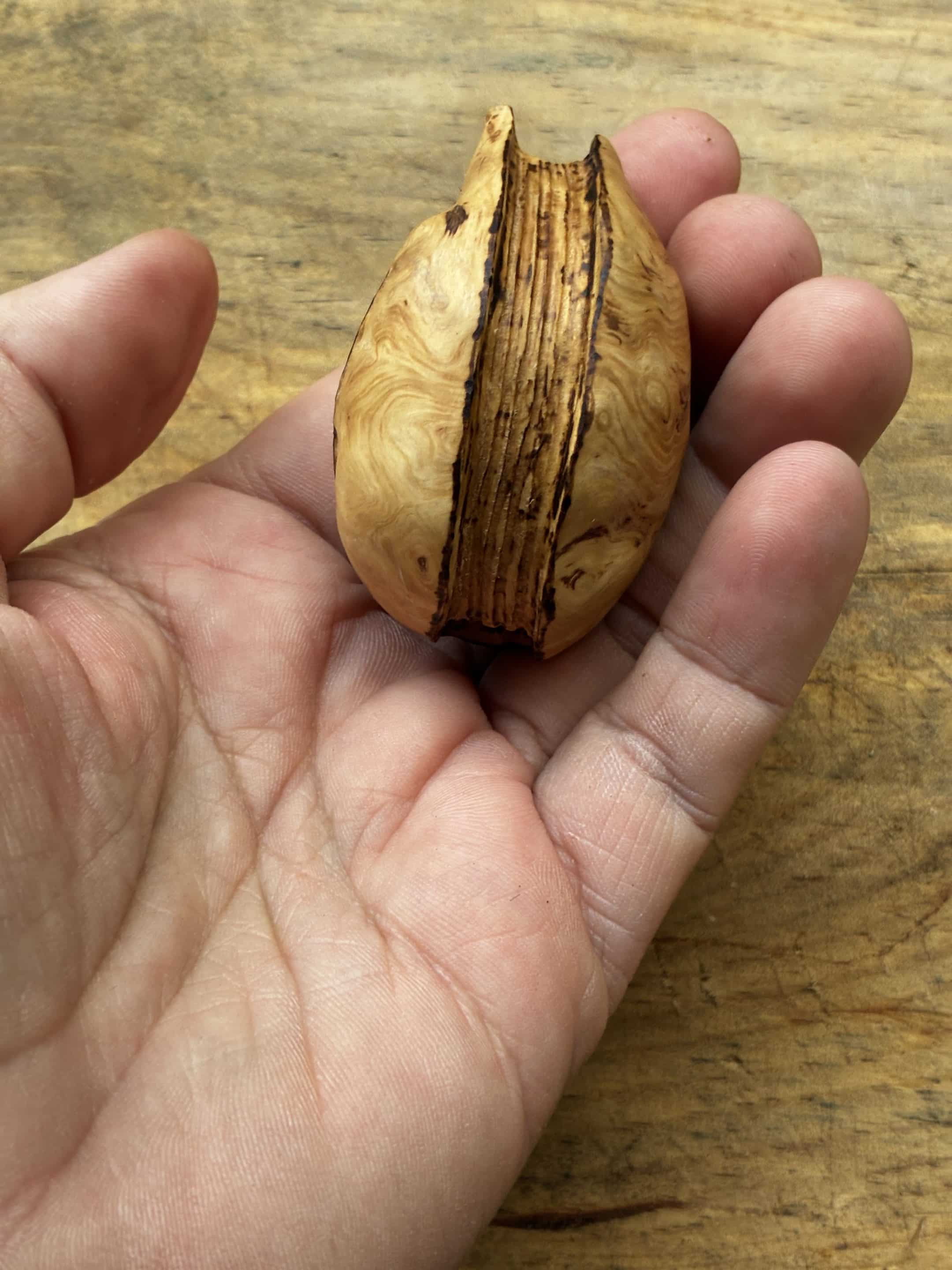 Buch aus Baumperle mit einer eingeschnitzten Feder