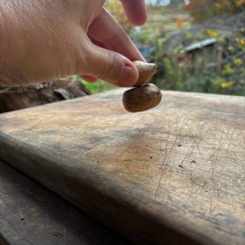 Baumperle mit Magnet