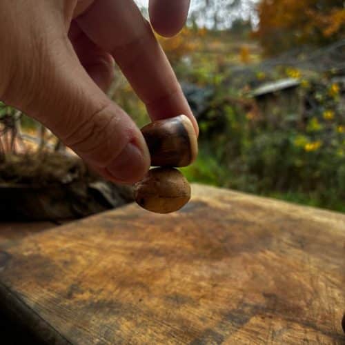 Baumperle mit Magnet