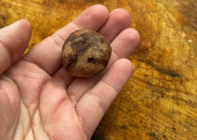 Baumperle mit Magnet