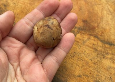 Baumperle mit Magnet