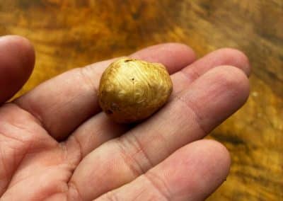 Baumperle mit Magnet