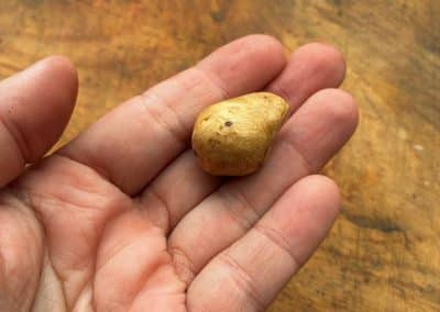 Baumperle mit Magnet