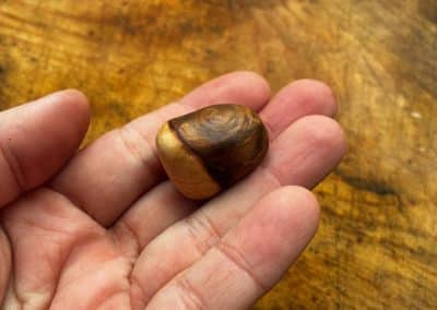 Baumperle mit Magnet