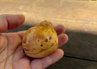 Schatulle für Ringe aus Baumperle