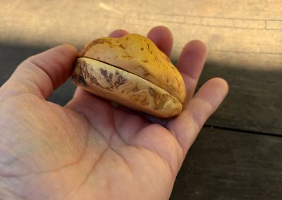 Schatulle für Ringe aus Baumperle