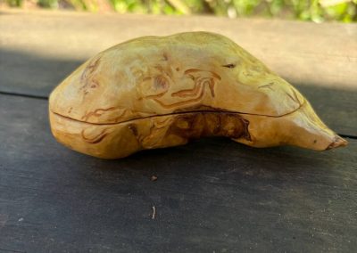 Schatulle für Ringe aus Baumperle