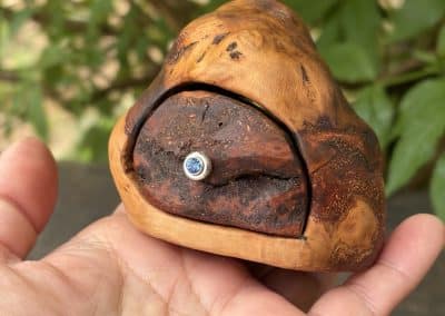 Bandsägenbox aus Baumperle