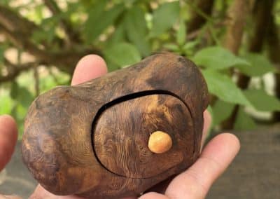 Bandsägenbox aus Baumperle