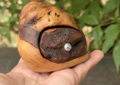 Bandsägenbox aus Baumperle