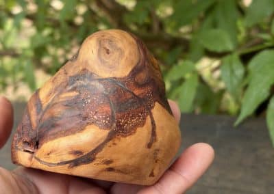 Bandsägenbox aus Baumperle