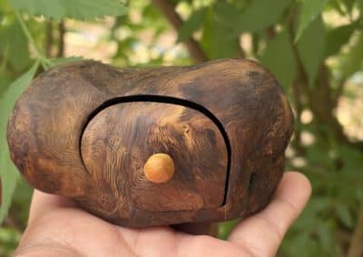 Bandsägenbox aus Baumperle