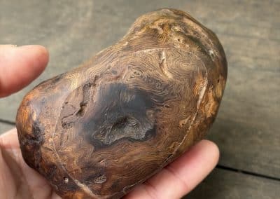 Bandsägenbox aus Baumperle