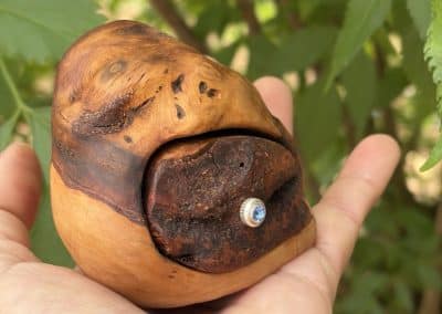 Bandsägenbox aus Baumperle