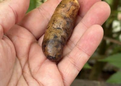 Handschmeichler aus Baumperle als Wichtel