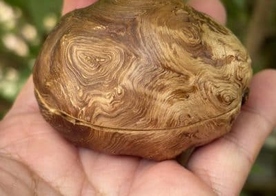 Schatulle aus Baumperle