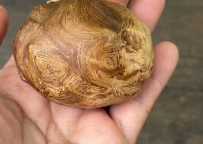 Schatulle aus Baumperle