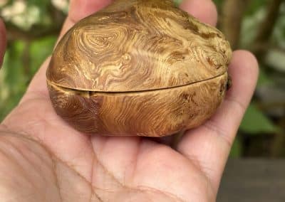 Schatulle aus Baumperle