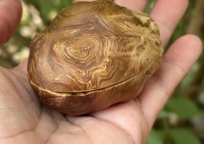 Schatulle aus Baumperle