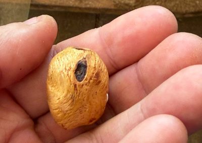 Dreadwichtel aus Baumperle