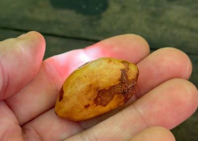 Schuhwichtel aus Baumperle